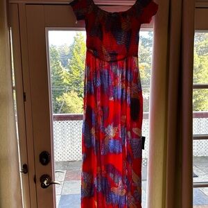 Lulu's Vibrant Red and Blue Floral Maxi Dress